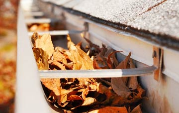 Fingest gutter cleaning companies